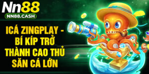 Icá Zingplay